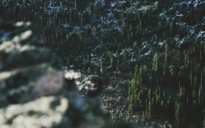 Tóm tắt: From Distraction to Dedication — Aksoy, 2025