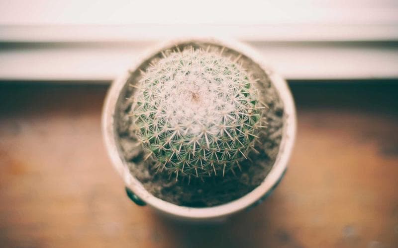 Tóm tắt: Students’ voices on generative AI: perceptions, benefits, and challenges in high